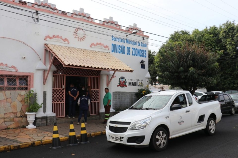 Video zoonoses