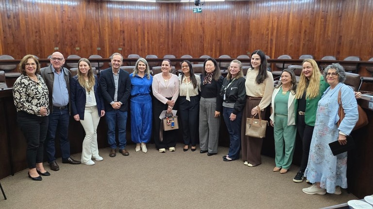 Galeria audiencia-publica---protecao-da-pessoa-idosa
